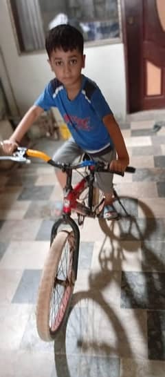 ordinal Morgan cycle only 5900