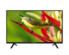 SMART LED CHAINA 43”