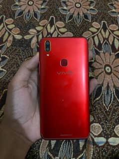 vivo