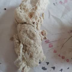 cotton