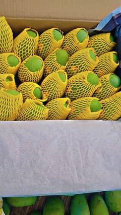 All Type Of Mangoes Available Delivery All over Pakistan