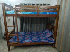 Bunk