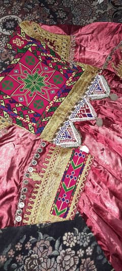 afghani