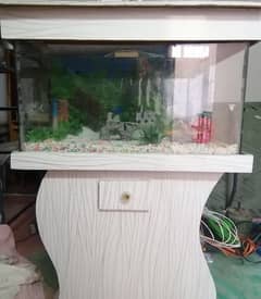 Aquarium tank with Accessories