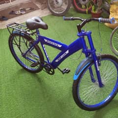 PHOENIX cycle