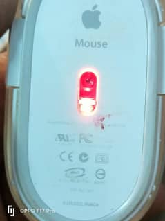 apple mouse