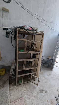 aseel hen for sale with cage