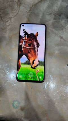 Oppo Reno 5
