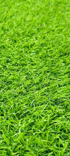 artificial grass