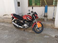 Yamaha YBR 125 2023 model