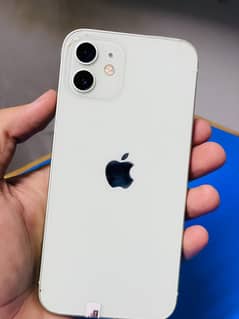 Iphone 12 official PTA approved