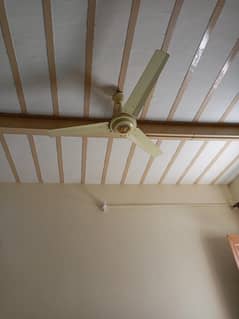 ceiling fan 2 fans  "Regal fans"