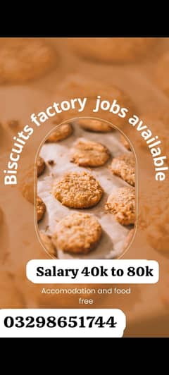 Mayfair biscuits factory