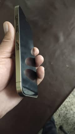 iphone 12 pro max Gold color