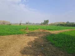 48 Kanal Agricultural Land for sale in Eminabad More