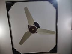 SK