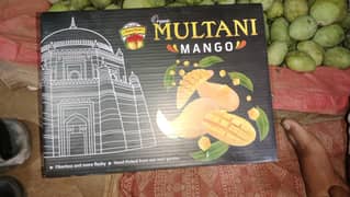 Mango 