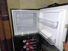 homage refrigerator