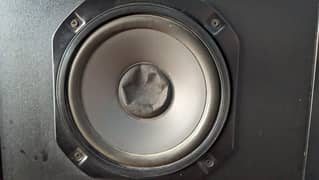 8" inch Pair Japani Speaker