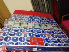 Master molty foam mattress