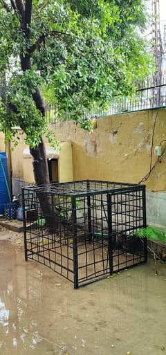 Heavy Duty Outdoor Dog Cage