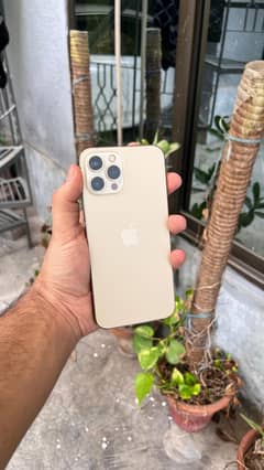 Iphone 12 pro max Approved