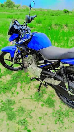 Yamaha ybr 125