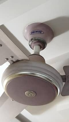 Ceiling fans