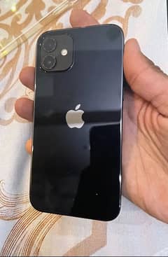 Iphone 12 pta approved