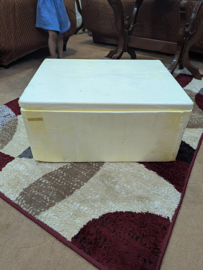 thermocol icebox with lid 1