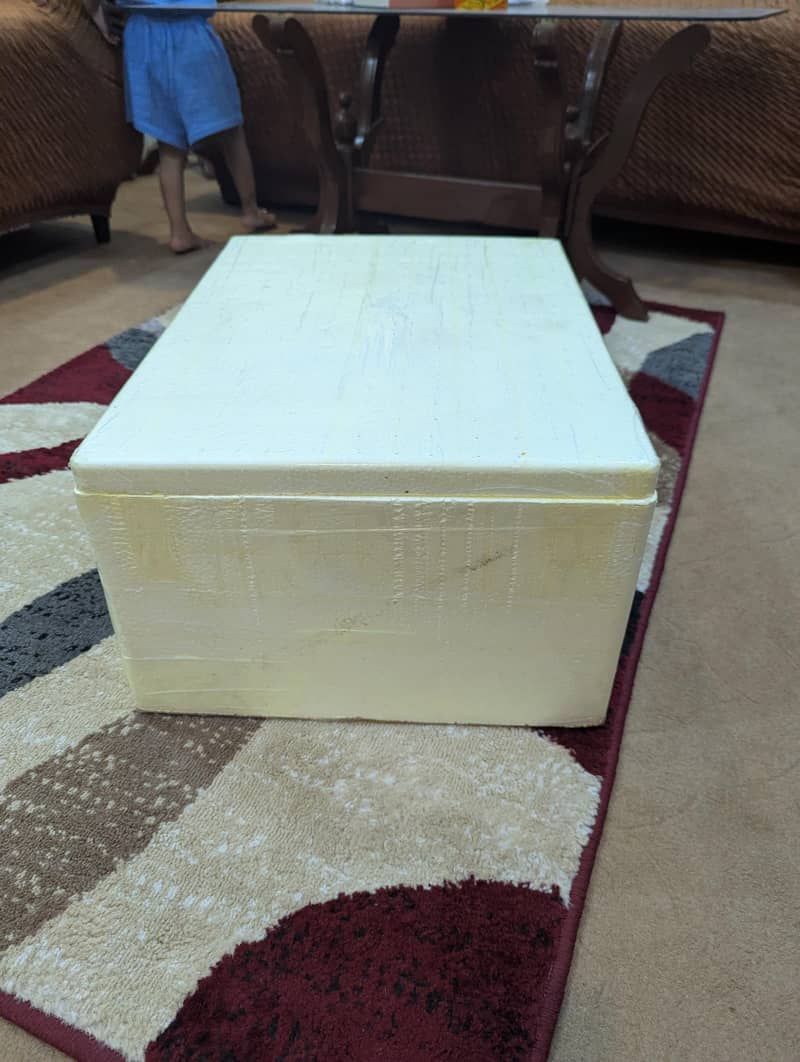 thermocol icebox with lid 3