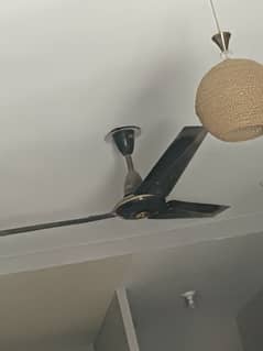 2 full size black Fan for sale