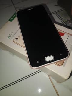 phone or box hai