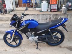 Yamaha YBR 125 2019 model
