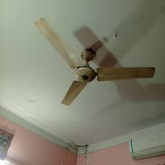 Ceiling fan