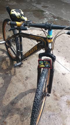 Gelante important cycle
