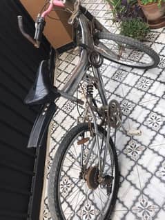 full size metal body cycle