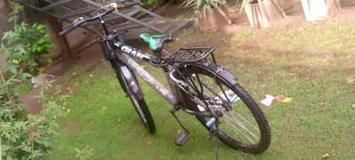 giant bicycle