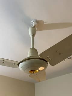 3 Fans for Rs 10,000