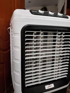 Ac DC cooler