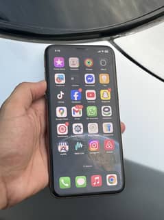 Xs max