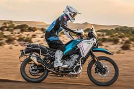 CF moto mt450 & mt800 side luggage bags stand