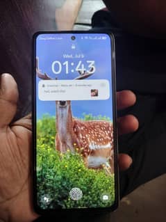 Oppo Reno 12F