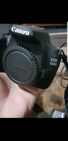 canon dslr