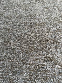 Multiple carpets for sale