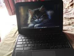 HP