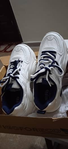 Navy/white Sneakers