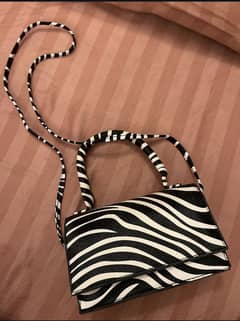 Zebra
