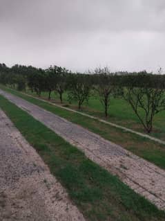 Hot Location 14 Kanal Farmhouse For Sale Main Barki Road Lahore