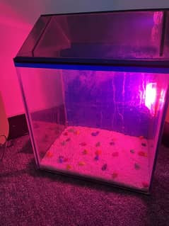 Aquirium